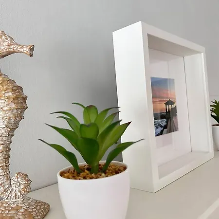 En El Port Daro By Host&joy Apartment